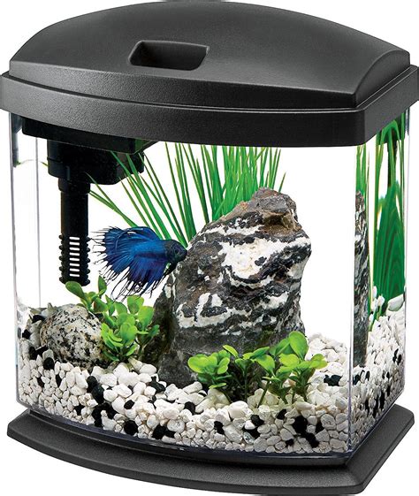 Fish aquarium starter kit - Glass Aquarium Fish Tank Starter Kit with Temperature and Time Display for Betta Fish Featuring Crystal Clear 360° Viewing, Eco-Cycle Filtration, Air Pump, and 7-Color LED Lighting (6 Gallon) 4.3 out of 5 stars. 4. $99.99 $ 99. 99. FREE delivery Thu, Feb 15 . Only 15 left in stock - order soon.